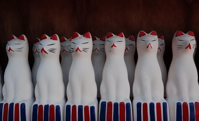 Inari foxes